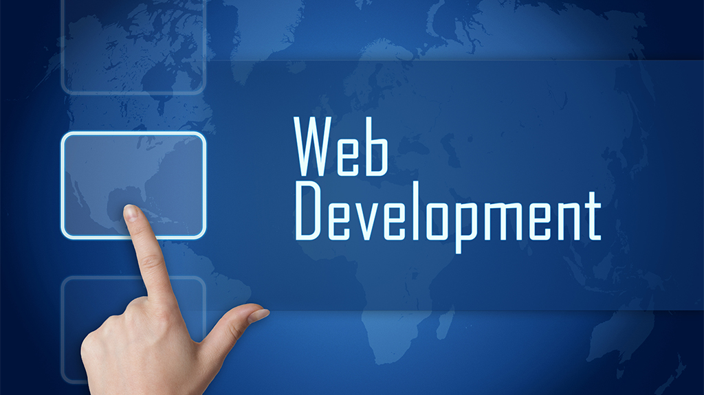 tanlax web development